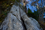 山
