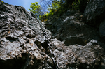 山