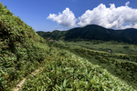 山