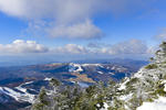 山