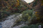 山
