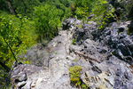 山