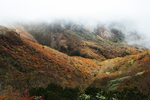 山