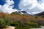山