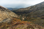 山