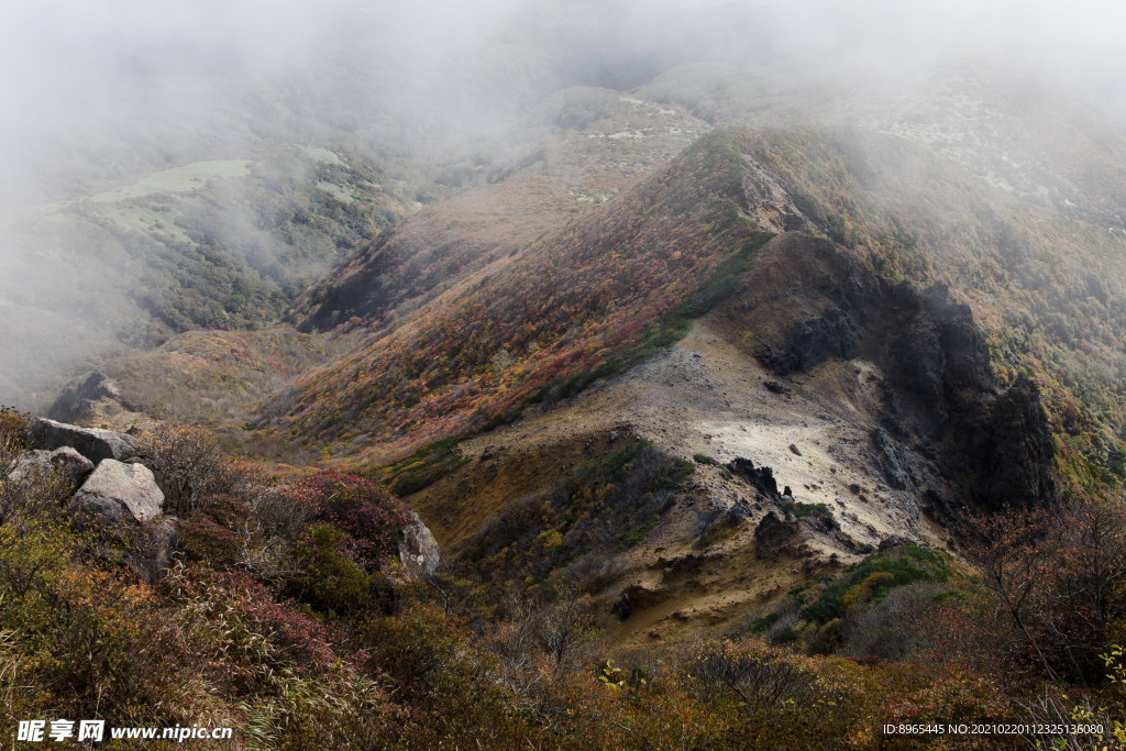 山