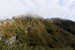 山