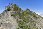 山