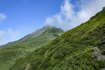 山