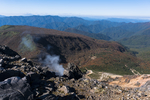 山