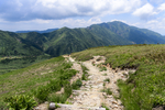 山
