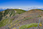 山