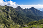 山