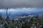 山
