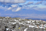 山