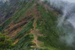 山