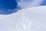 山