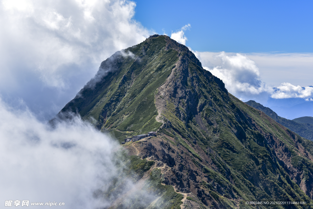 山