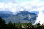 山