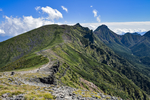 山