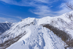 山