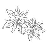 八角