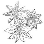 八角