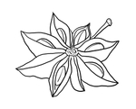 八角