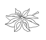 八角