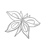 八角