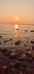 夕阳
