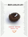 保护动物图片