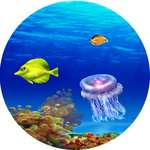 海底世界