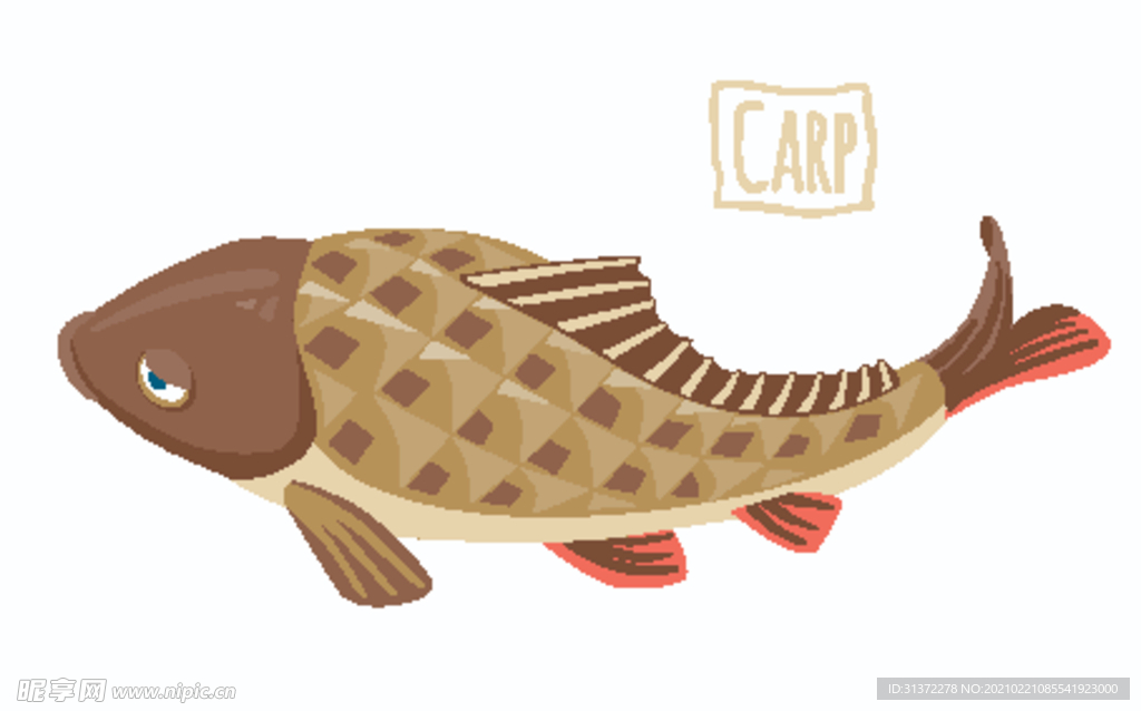 手绘鱼类卡通插画图片