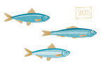 手绘鱼类卡通插画图片