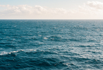 大海