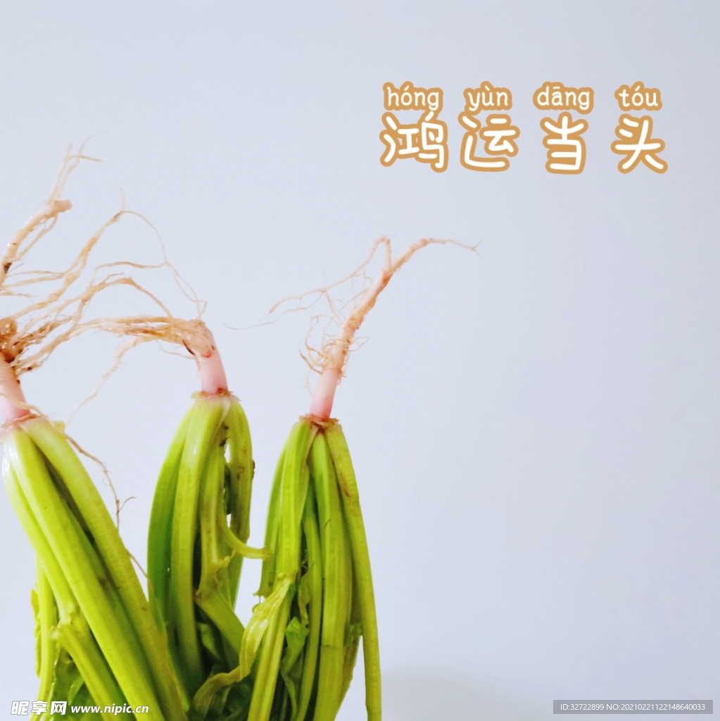 鸿运当头