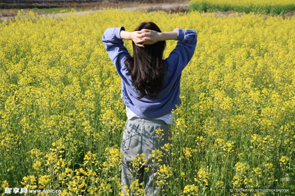 春天的油菜花与美女