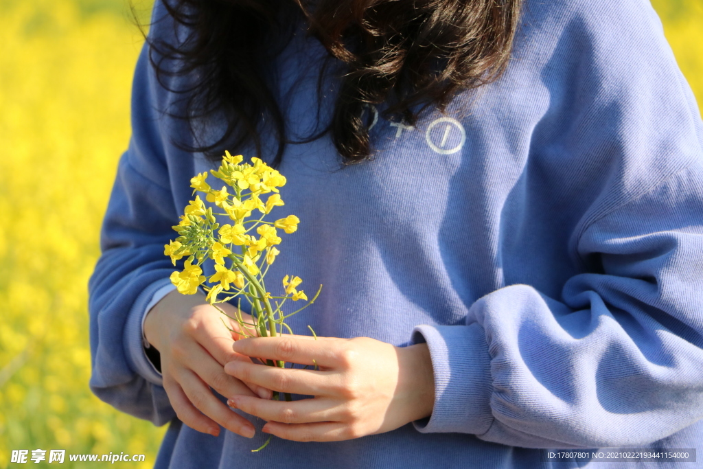 春天里的油菜花与美女