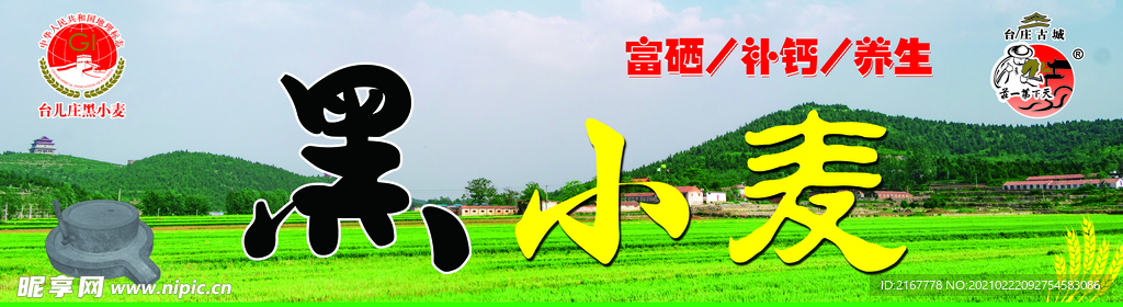 黑小麦