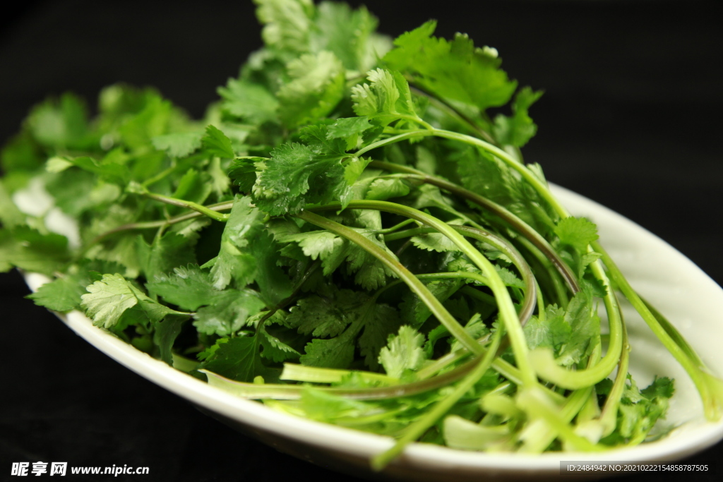 芫荽 香菜 火锅菜品