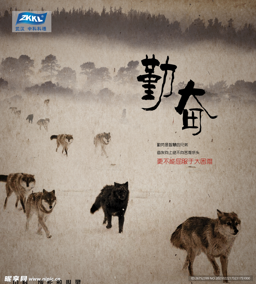 公司文化