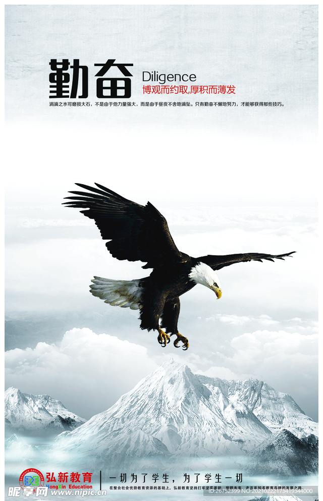 公司文化