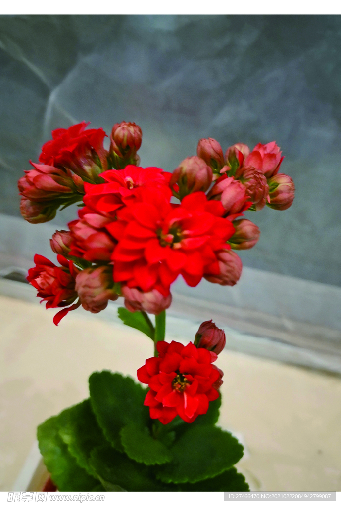花