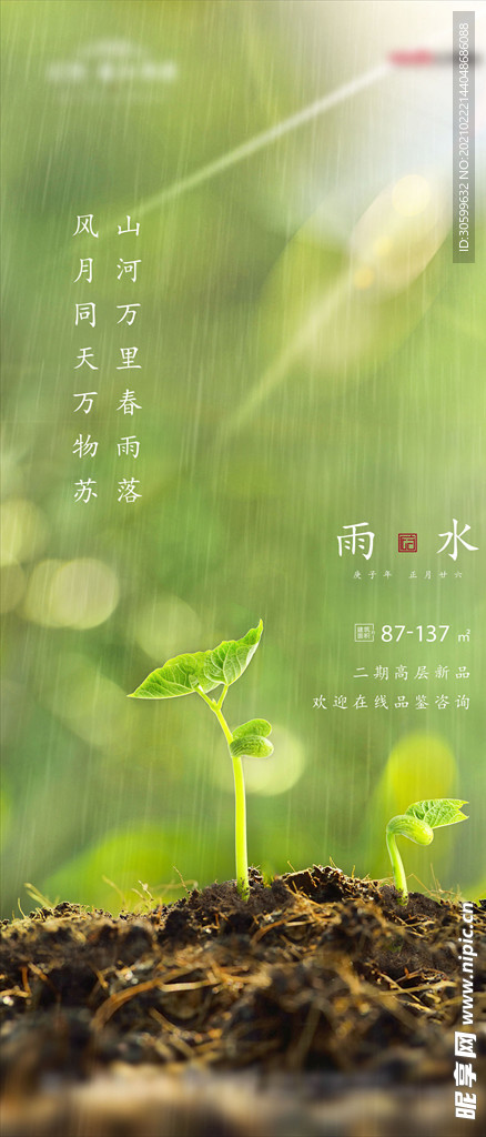 雨水海报