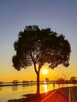 夕阳西下