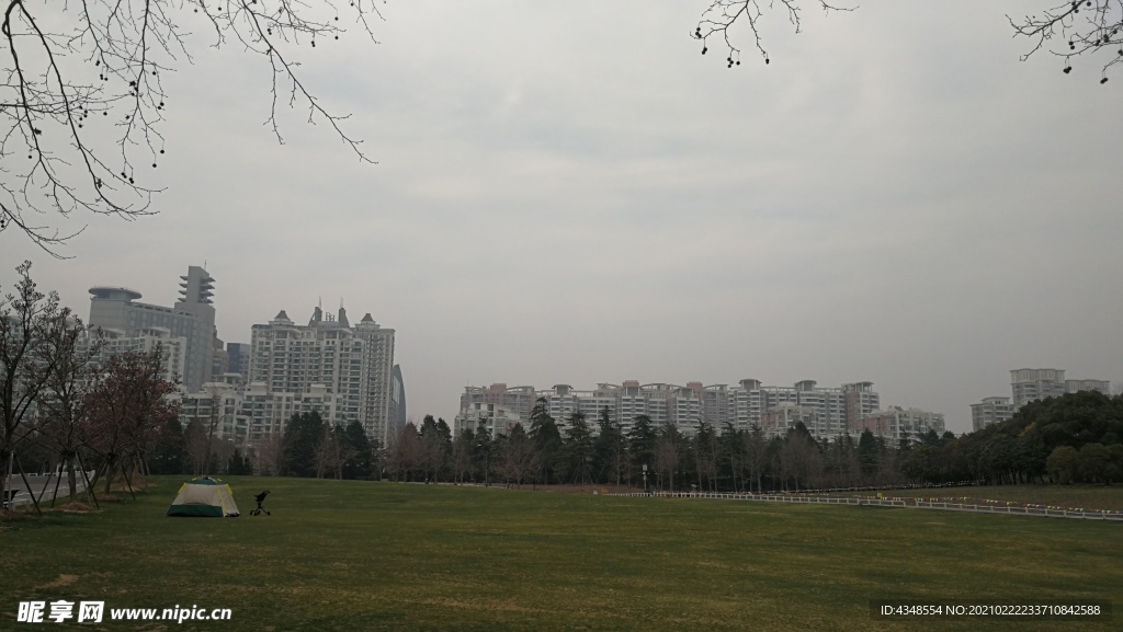 上海浦东世纪公园绿地