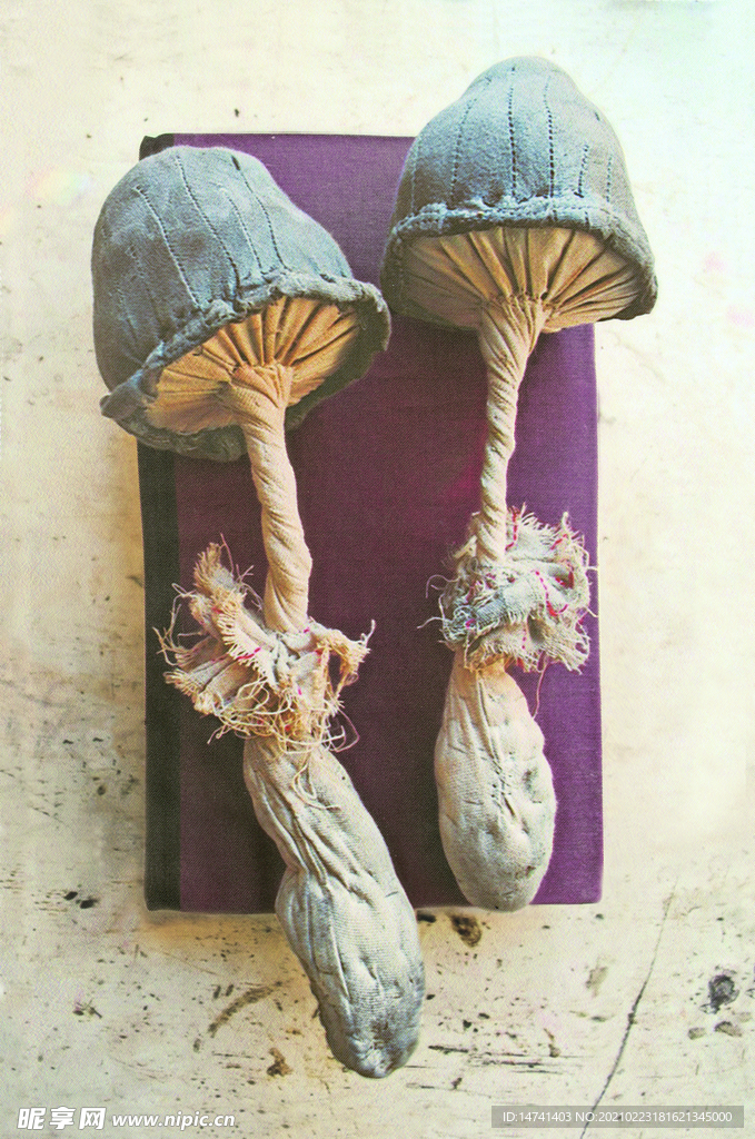 唯美长根大蘑菇背景印花图案