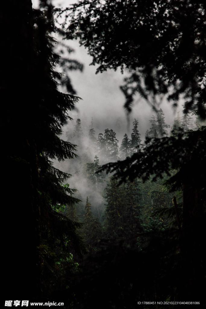 山林
