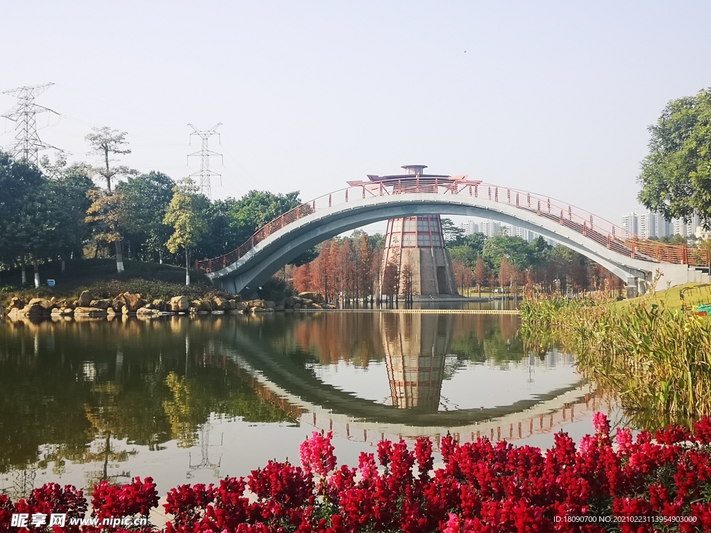 千灯湖风景